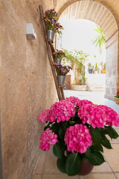 Il Saraceno Apartment Giovinazzo Dış mekan fotoğraf