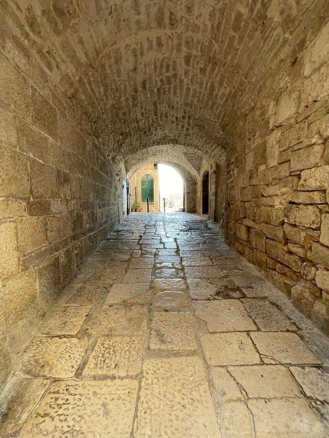 Il Saraceno Apartment Giovinazzo Dış mekan fotoğraf